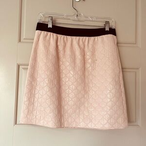 Ann Taylor LOFT Blush Pink Skirt